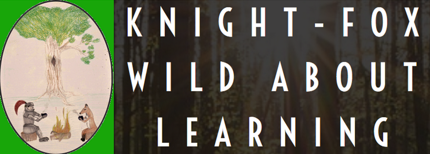 Knight-Fox Wild About Learning